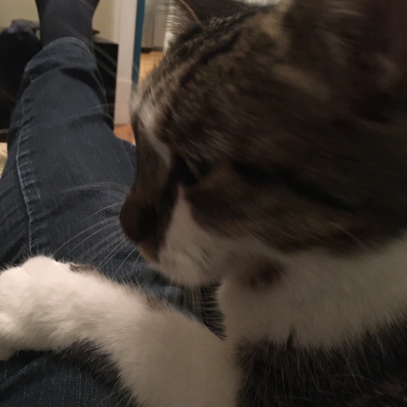 Meet your Posher, Jan - Picture 1 of 1